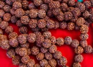 Finding the Perfect Vibe with Certified Rudraksha in Sahakara Nagar Certified Rudraksha in Sahakara Nagar
