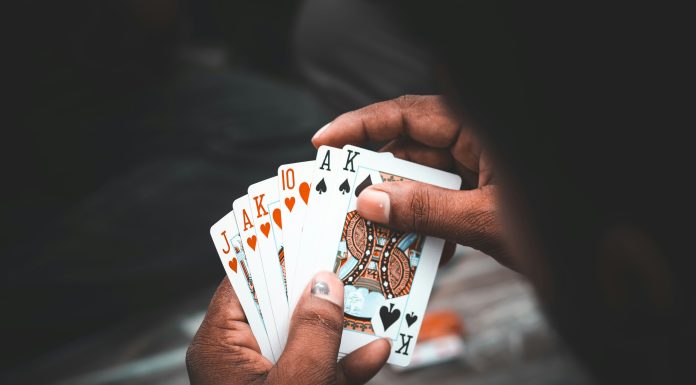 Reddybook Is Quietly Becoming the Go-To Spot for Online Betting — Here’s Why People Are Talking reddy anna